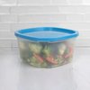 Home Basics 7 Piece Plastic Food Storage Container Set with MultiColored Lids SC47654